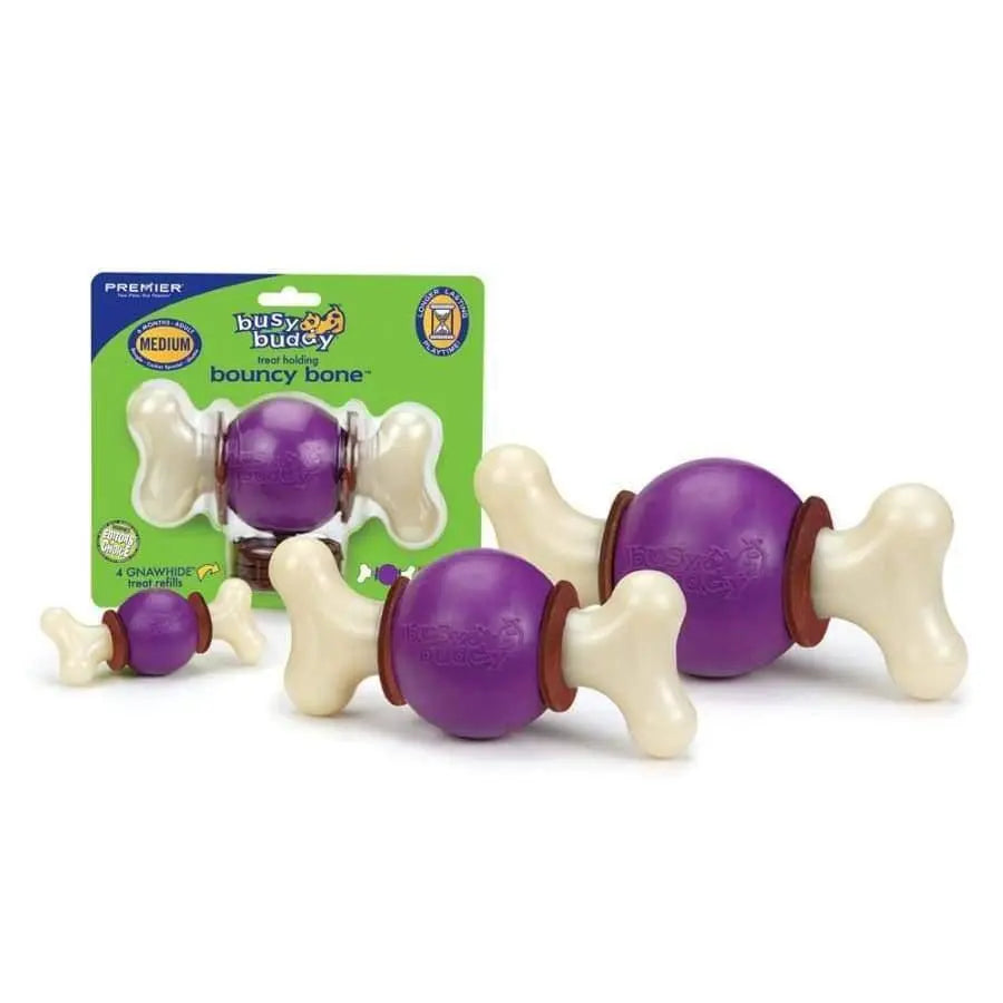 Busy Buddy Multi - Color Bouncy Bone: A Versatile Dog Chew Toy