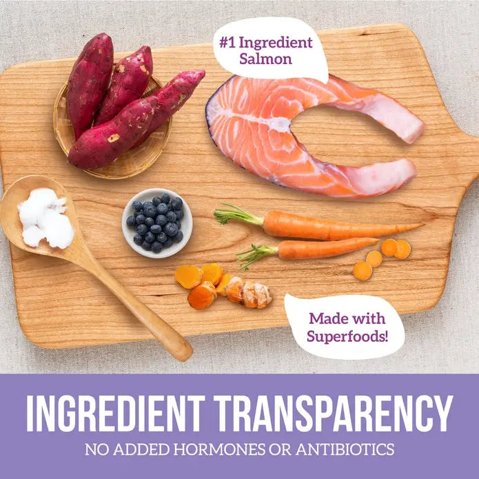 Health Extension Freeze - Dried Superbites Raw Salmon Mixer for Canine Delights