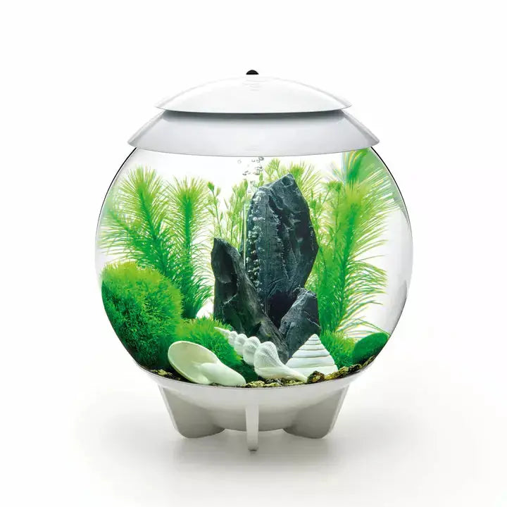 BiOrb 30L Stone Garden Green Decorative Kit for Aquarium