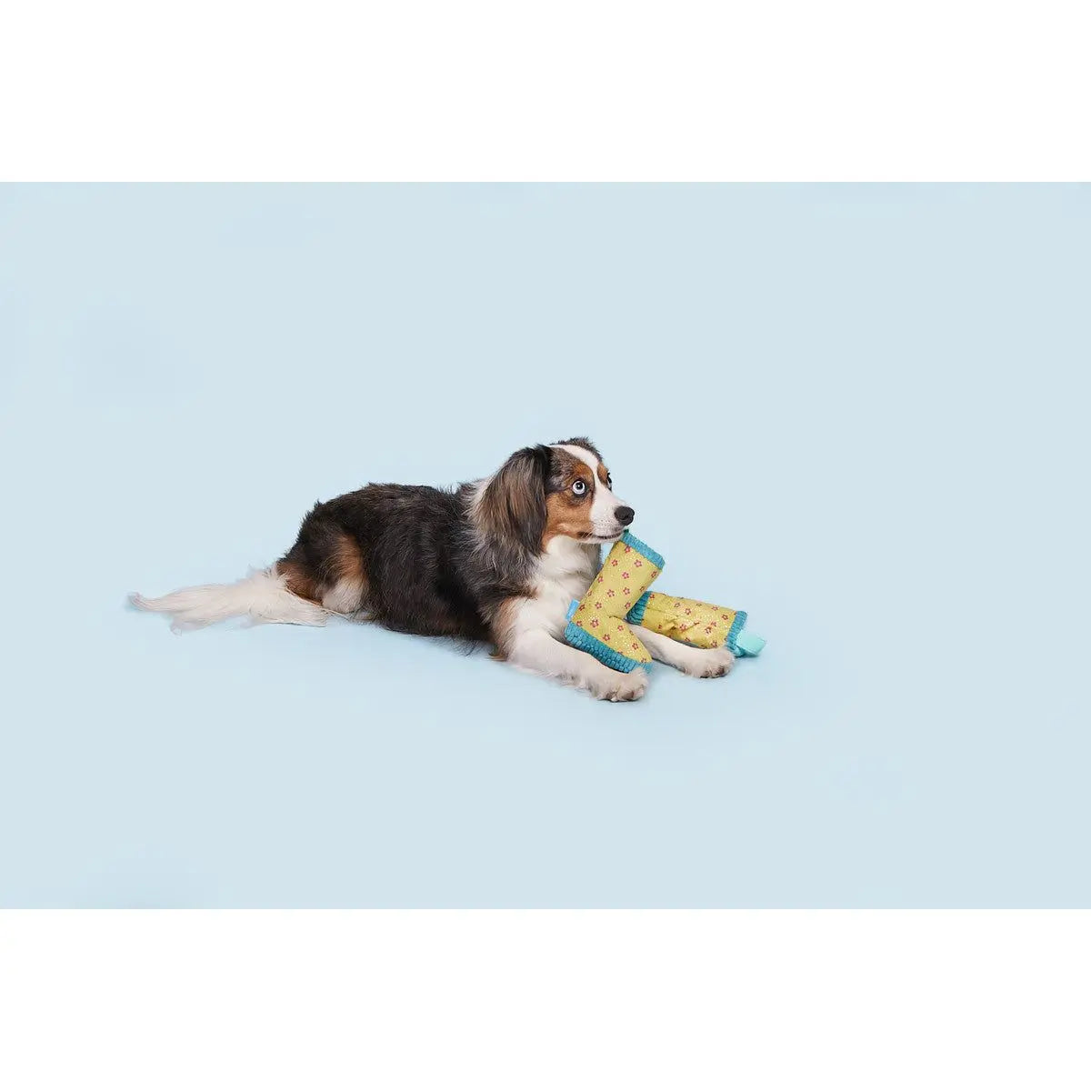 BARK Fluffy and Squeaky Rain Boots Plush Dog Toy for Small Pups