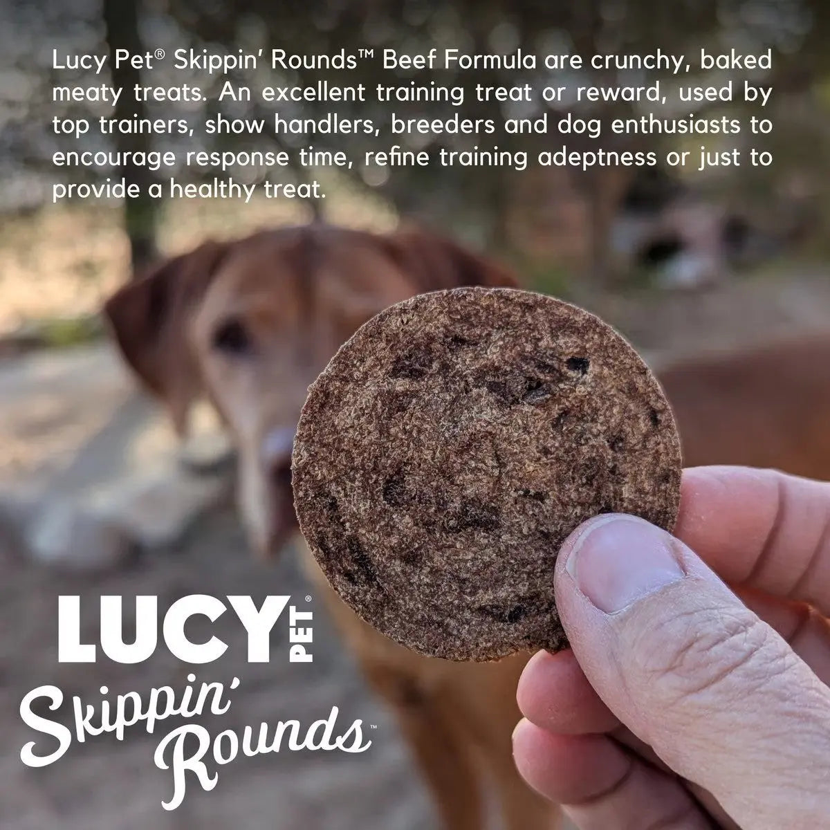 Lucy Pet Products 8 oz Skippin' Rounds Premium Beef Dog Treats