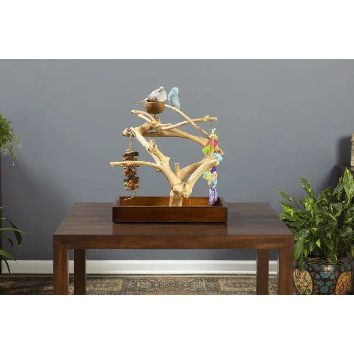 Prevue Pet Products Mini Table Top Playstand Made of Coffeawood for Small Birds