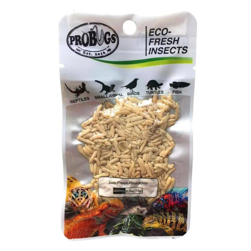 Eco-Fresh Pro Bugs Riceworm: Ideal Food for Finches, Conures, Tropical Fish & Frogs
