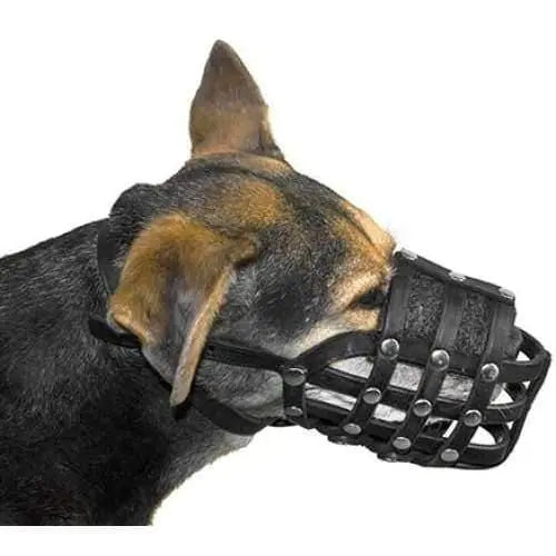 High - Quality European - Made Viper Echo Leather Basket - Style Dog Muzzle for Daily Use