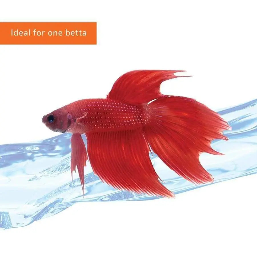 Aqueon Acrylic Half - Gallon Betta Castle Aquarium Kits
