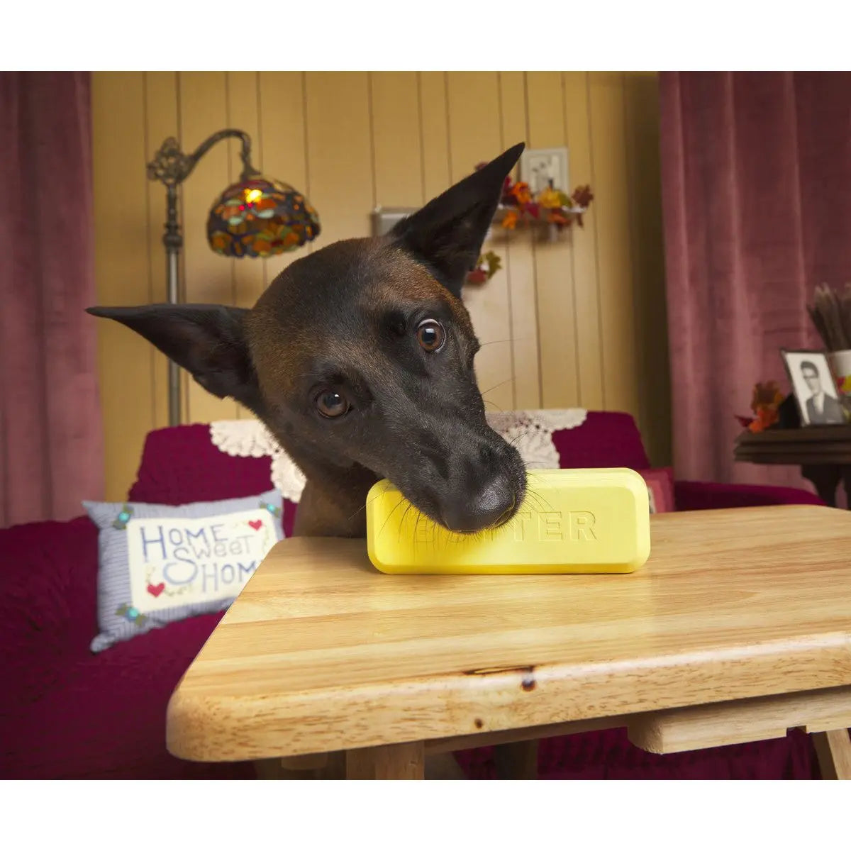 BARK Super Chewer Solid Rubber Dog Toy - Pass the Butter for Large Dogs