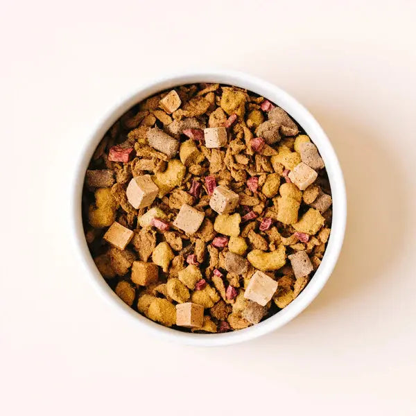 Delicious Yummers Dog Food: Salmon & Beef Recipe Enriched with Freeze - Dried Proteins