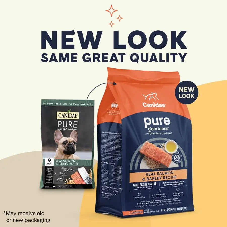 CANIDAE PURE Dry Dog Food: Real Salmon & Barley with Wholesome Grains