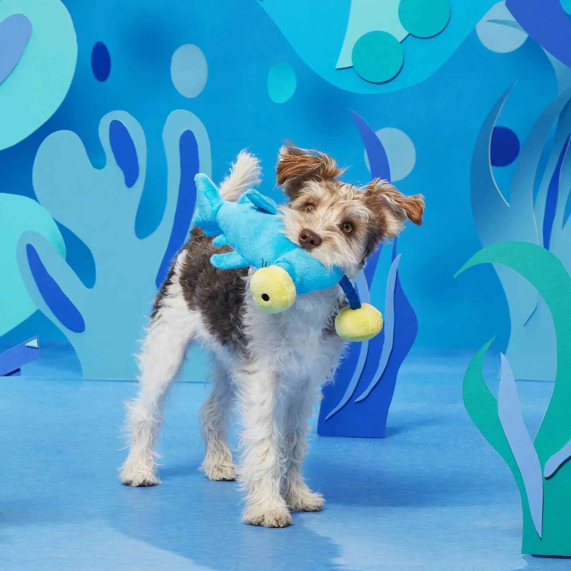 BARK Hammerin' Hank the Shark Interactive Dog Chew Toys for Canine Fun