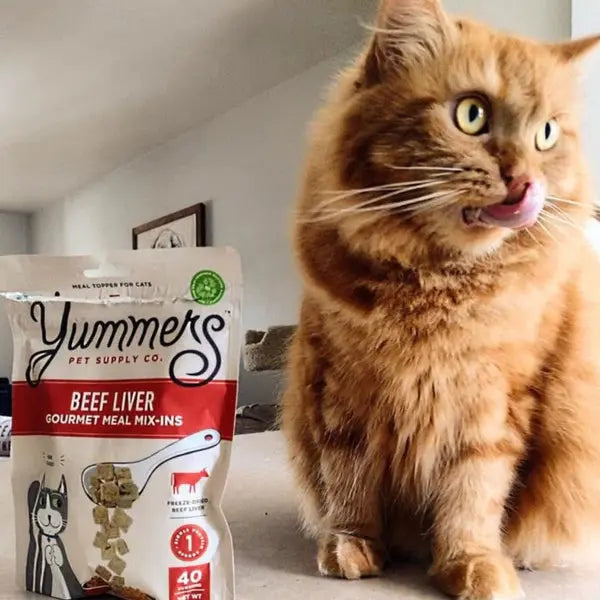 Yummers Gourmet Freeze - dried Single - source Beef Liver Meal Mix - in as a Tasty Food Topper for Cats, 2.5 oz.