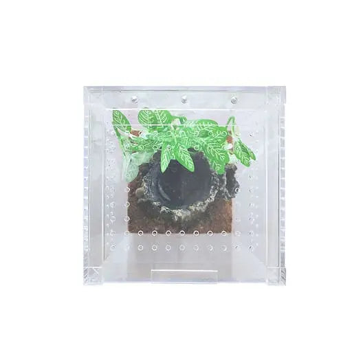 Small and Tall Transparent Acrylic Terrarium Cage for Tarantula and Scorpion Breeding