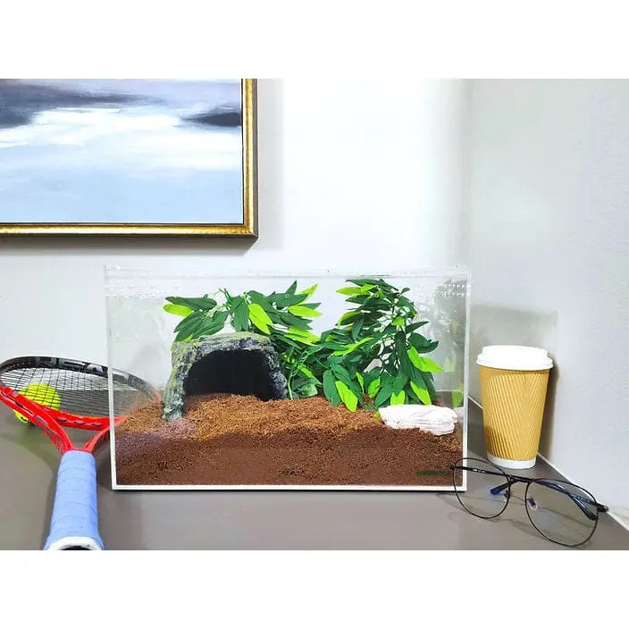 Extra Large Clear Acrylic Reptile Breeding Terrarium Cage with Transparent Top