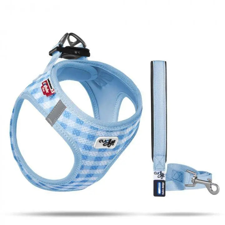 Lightweight Air-Mesh Vest Harness with Matching Leash for Small Puppies