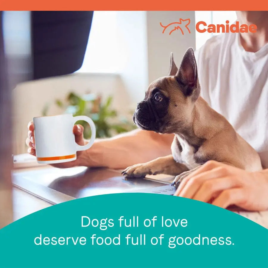 CANIDAE PURE Grain-Free Puppy Formula with Real Chicken, Lentil & Whole Egg Dry Dog Food