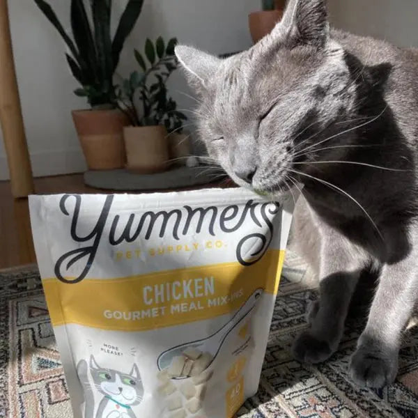 Yummers Premium Freeze-dried Chicken Gourmet Mix-in as a Delectable Food Topper for Cat Meals, 2.5 oz.