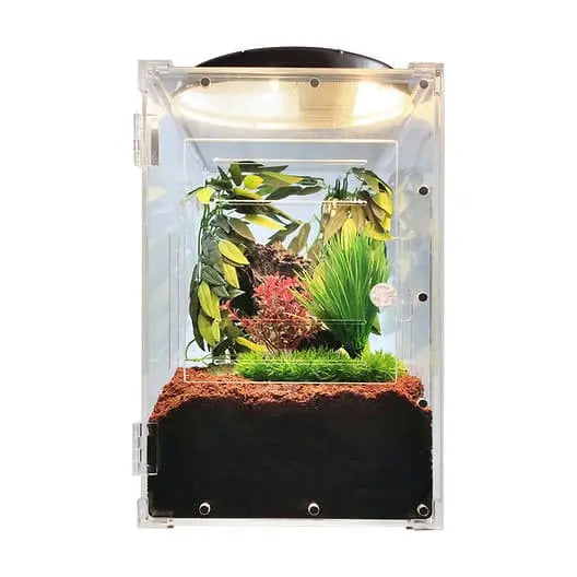 Transparent Acrylic Front-Opening Terrarium Cage for Gecko Reptile Breeding