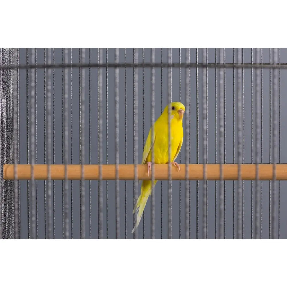 Prevue Pet Products Chalk White Small Bird Flight Cage F041 with Stand