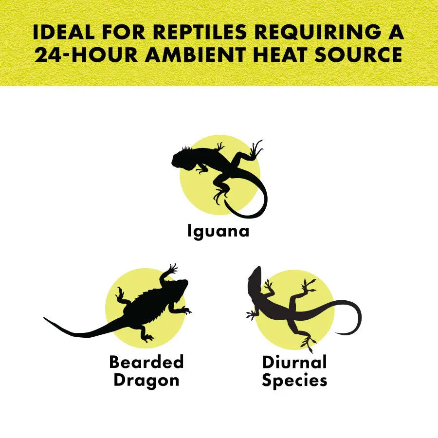 Zilla High - Performance Incandescent Spot Bulb for Reptile Terrariums