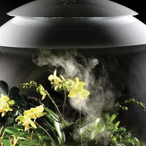 BiOrb AIR 60 Modern Glossy Terrarium for Tropical Plants and Creatures