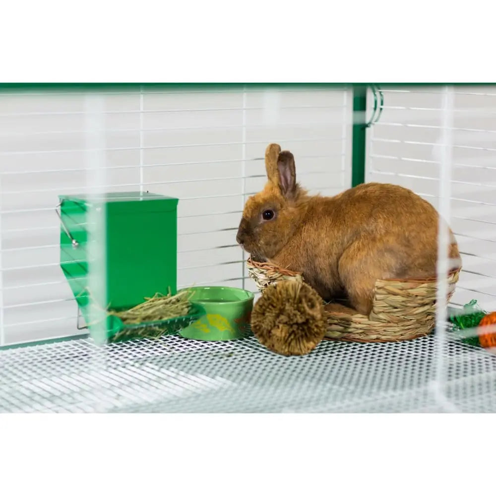 Prevue Pet Products Small Animal Gravity Metal Bin Feeder for Rabbits, Guinea Pigs and Similar - Sized Pets