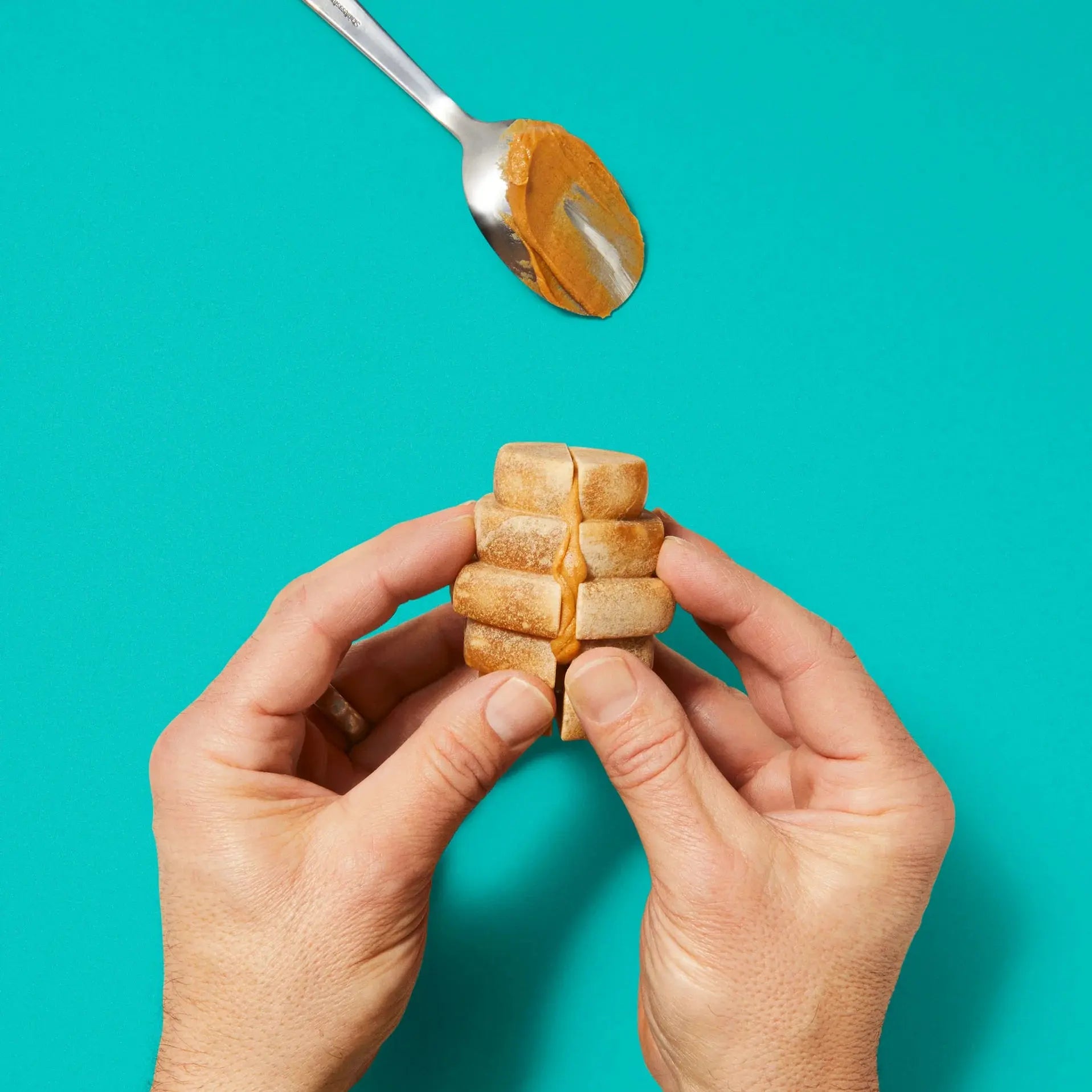 Project Hive Pet Company's Premium All - Natural Hive Dog Chew Treat