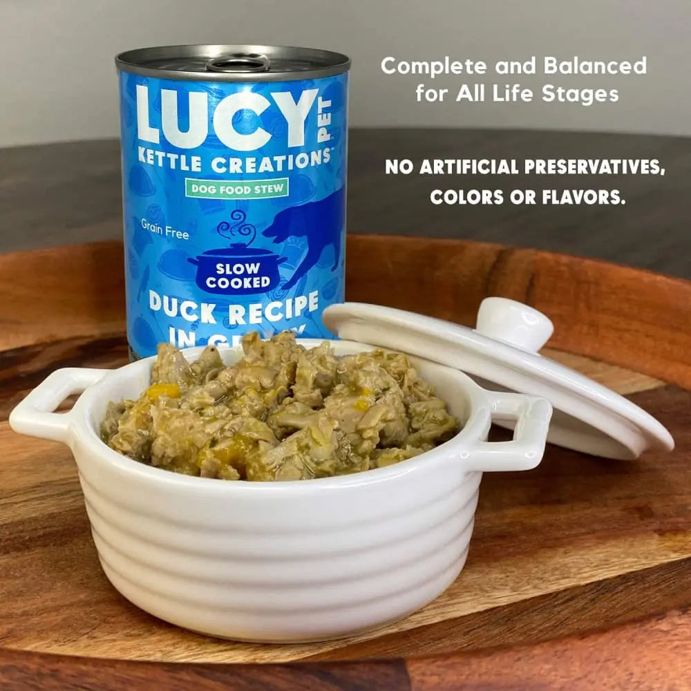 Lucy Pet Products Kettle Creations Recipe in Delicious Gravy Wet Dog Food Pack of 12 Cans, Each 12.5 Ounces