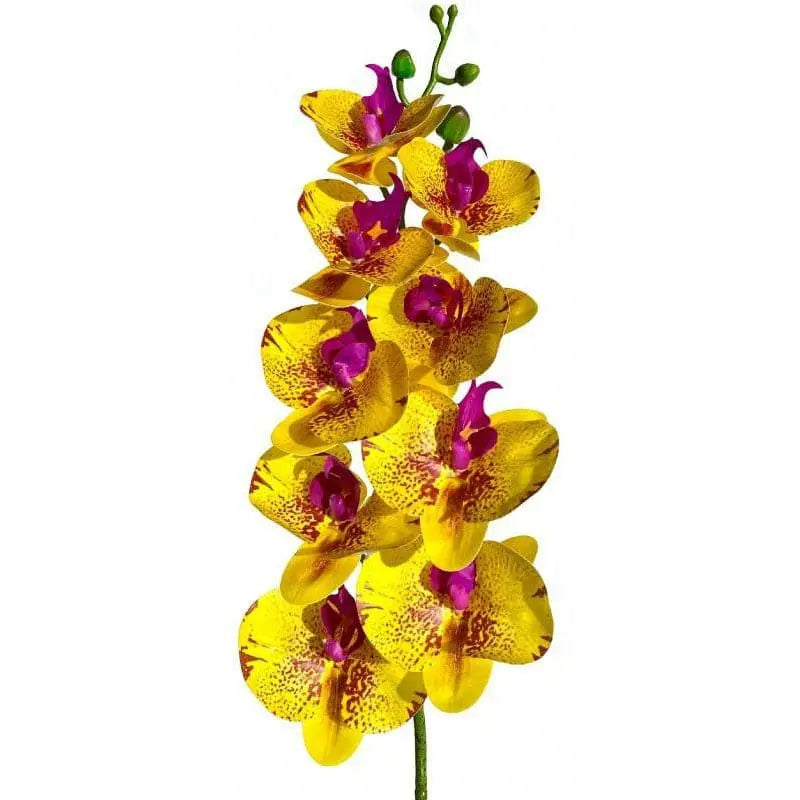 Lugarti's Realistic Moth Orchids for Reptile Habitat Decor