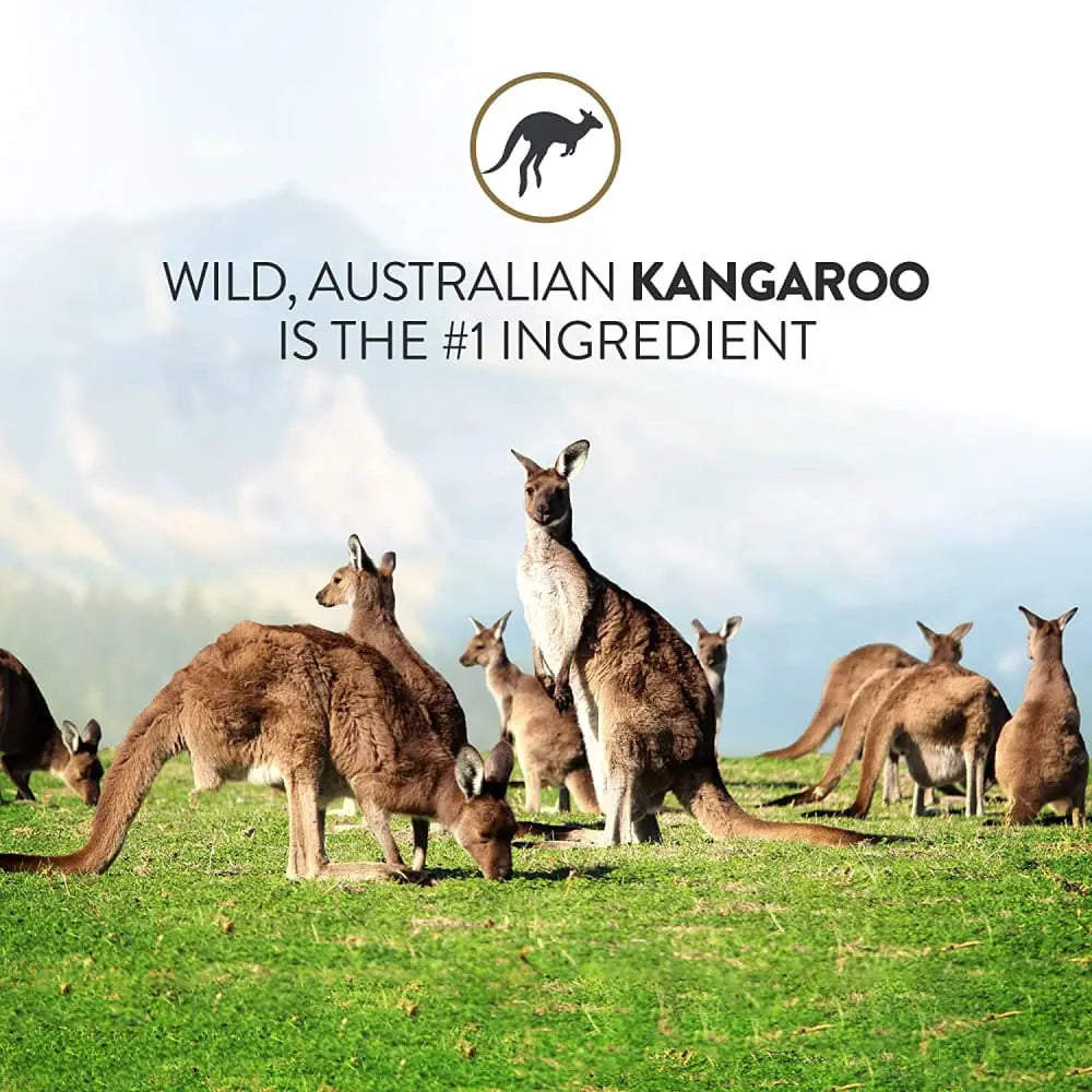 Addiction Outback Kangaroo Feast Air - Dried Dog Food for Skin and Coat Health