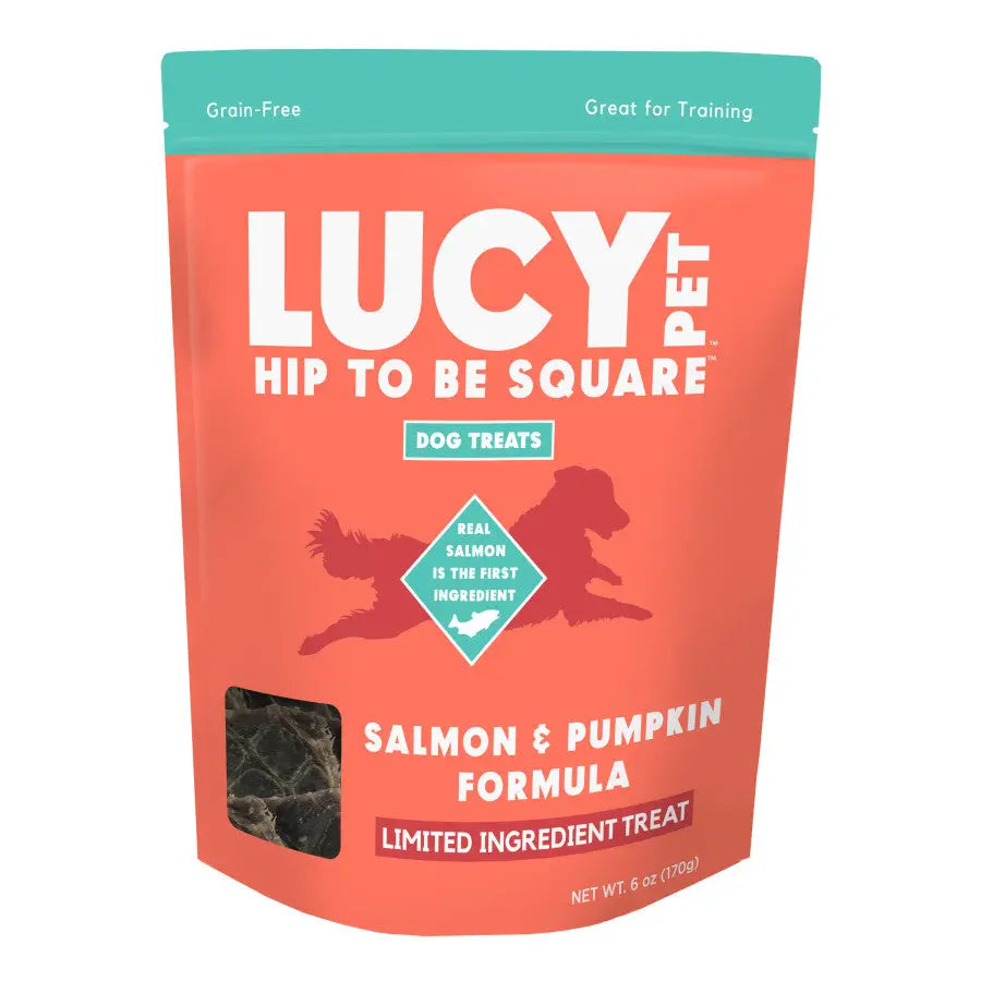 Lucy Pet Products High - Quality Limited Ingredient Salmon & Pumpkin Dog Treats