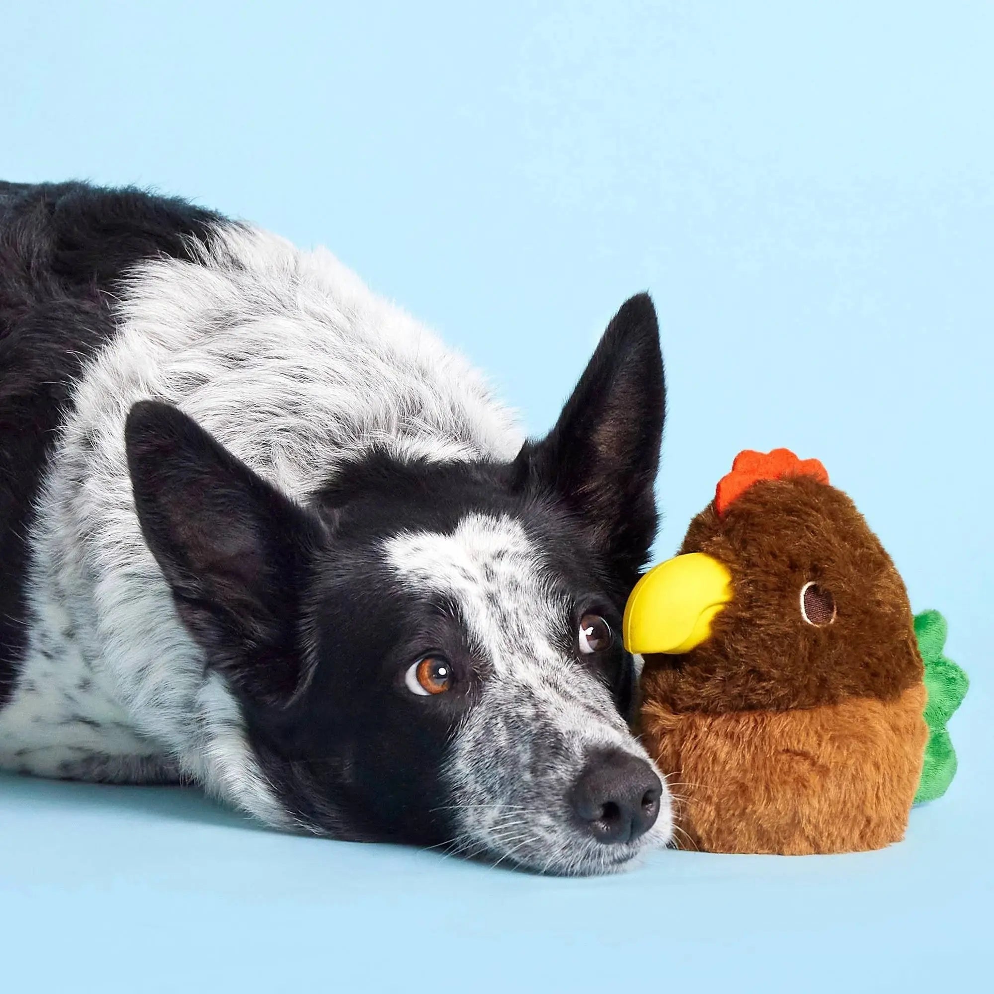BARK Fowl Play Interactive Rooster Dog Chew Toys for Active Puppies