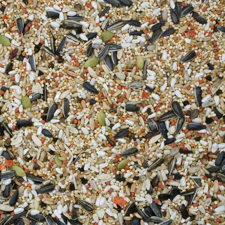 Higgins Gourmet Sunburst Blend for Cockatiels - Premium Avian Food