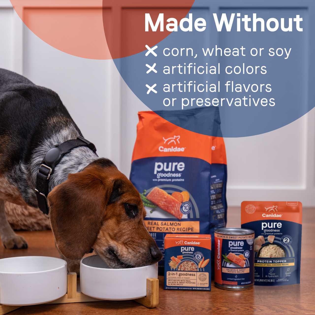 CANIDAE PURE High - Quality Protein Topping for Dogs, Pack of 12 with 3 - ounce Pouches