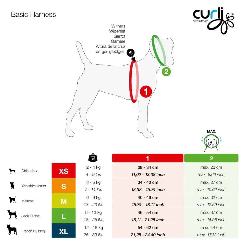 Adjustable Step-in Light Air-Mesh Dog Harness for Optimal Comfort