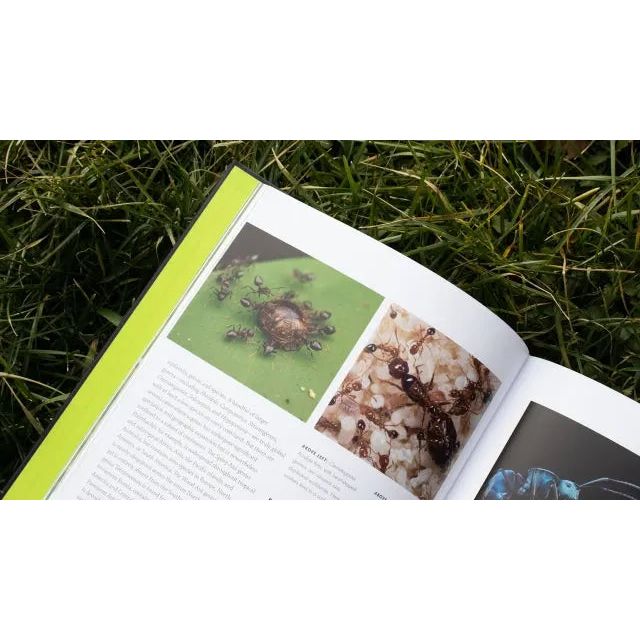 Ants: An In - Depth Visual Guide by Heather Campbell and Benjamin Blanchard