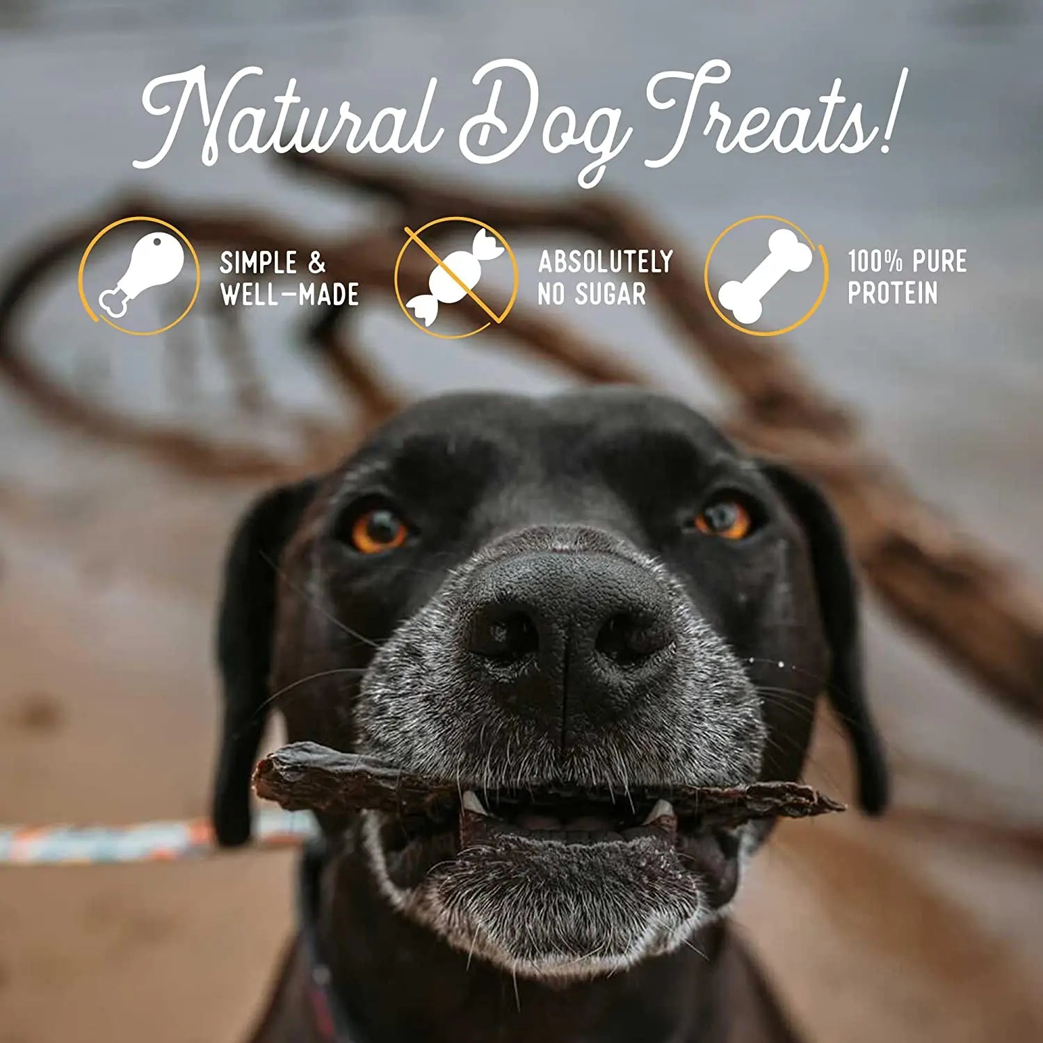 Beg & Barker All-Natural, USA-Sourced Air-Dried Beef Liver Strip Dog Treats
