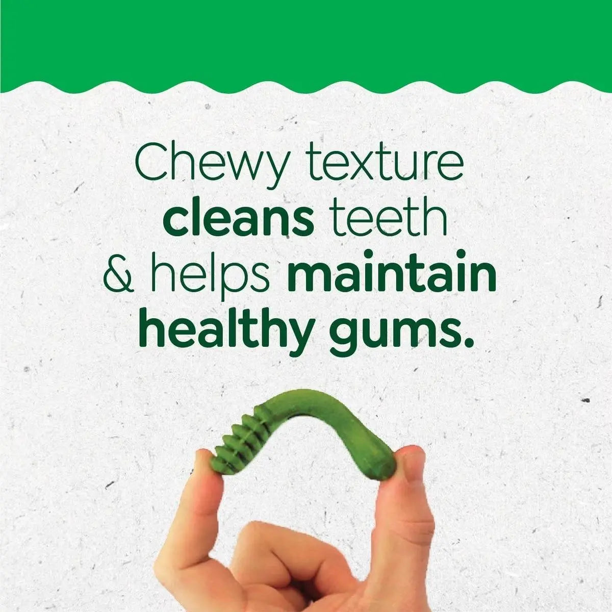 Delicious Greenies Dental Treats Specially Designed for Puppies Aged 6 Months and Above