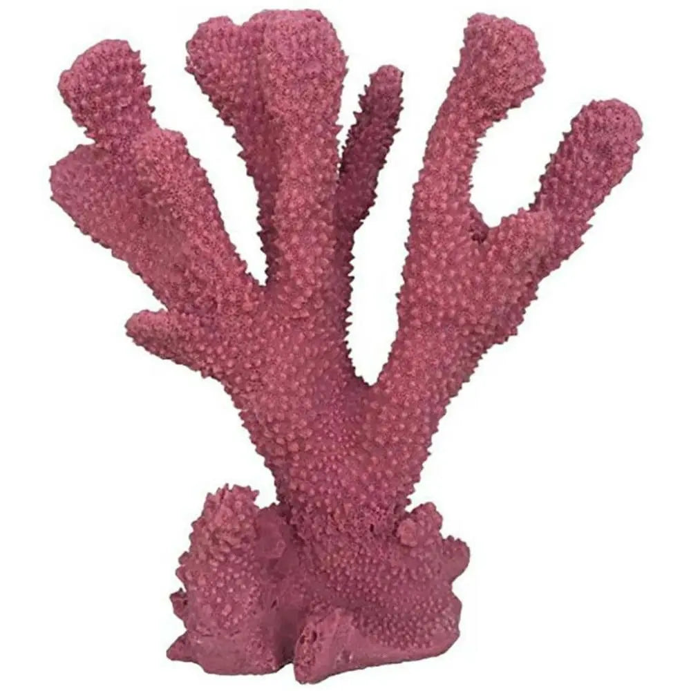 Weco South Pacific Rose Coral Cats Paw Ornament with Lifelike Design