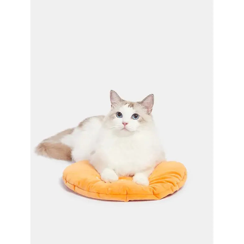 Vibrant Vetreska Tangerine Handcrafted PE Rattan Pet Bed with Washable Cushion