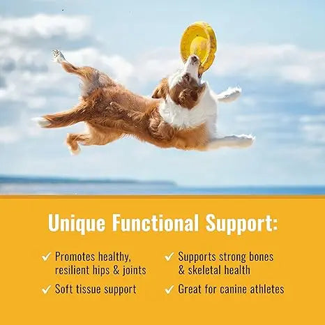 Canine Matrix All - Natural 200g Joint Supplement for Dogs and Cats