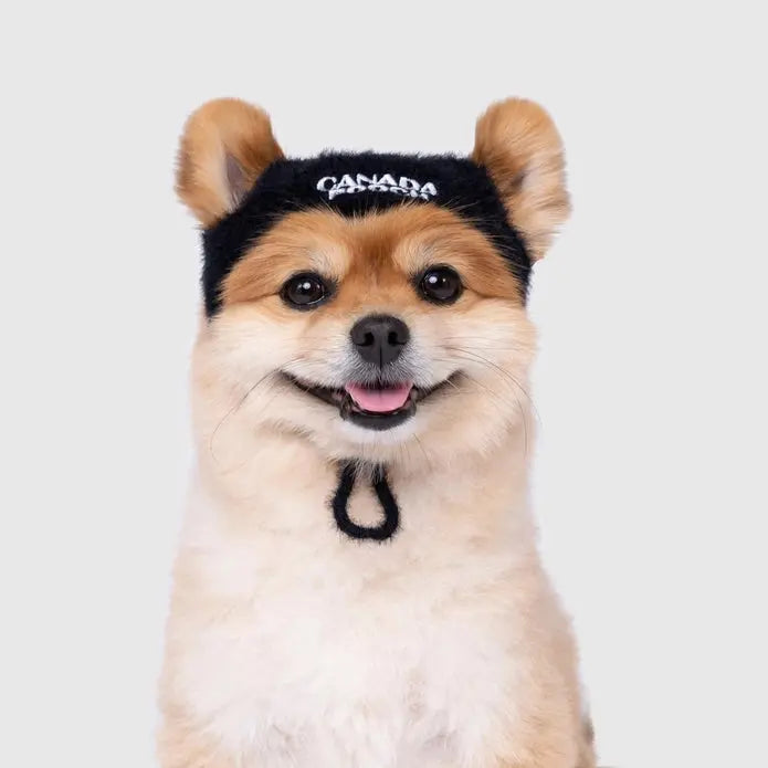 Canada Pooch Pawparazzi Fashionable Faux - Fur Dog Beanie with Drawcord