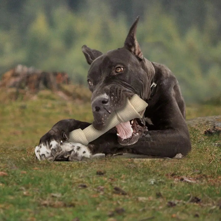 Cadet Smart Hide Knotted Rawhide Bone: Easily Digestible & Tasty for Dogs
