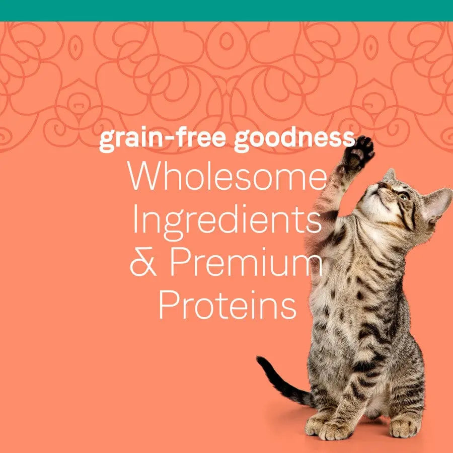 CANIDAE Pure Adore Grain-Free Wet Cat Food Pack with 24 Cans of Sardine & Mackerel in Savory Broth, Each Can 2.46 oz