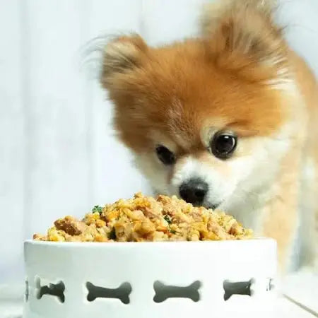 Portland Pet Food Company's Premium Grandma Ada's Homestyle Wet Dog Food with Real Turkey and Tender Yams, 8/9 oz