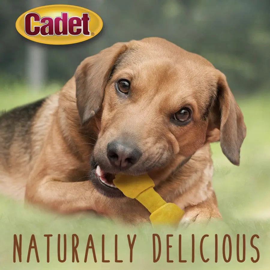 Cadet Premium Beef Hide Knotted Dog Chews, 4 - 5 Inches Long, 1 Pound Pack for Canine Enjoyment