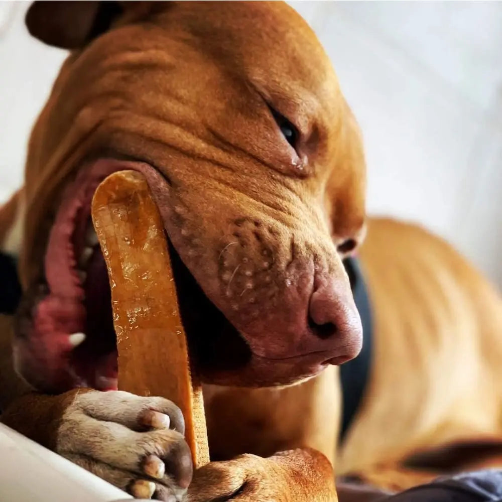 Healthy and Long - lasting Yak Milk Dog Chews as Tasty Treats
