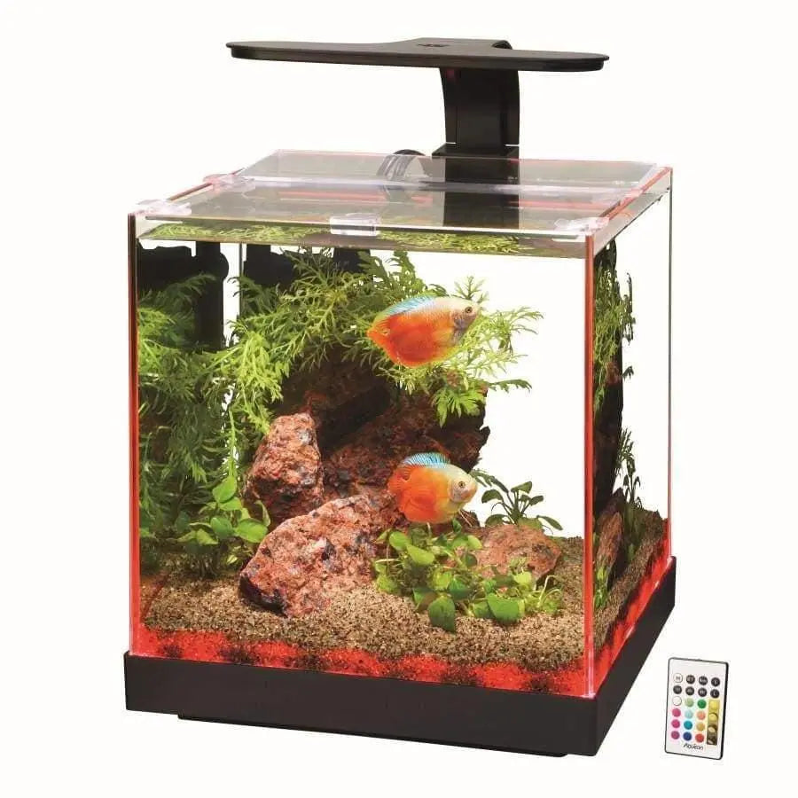 Aqueon Edge-Lit Cube Glass Freshwater and Saltwater Aquarium with Vibrant LED Lighting and Remote Control for Color Customization
