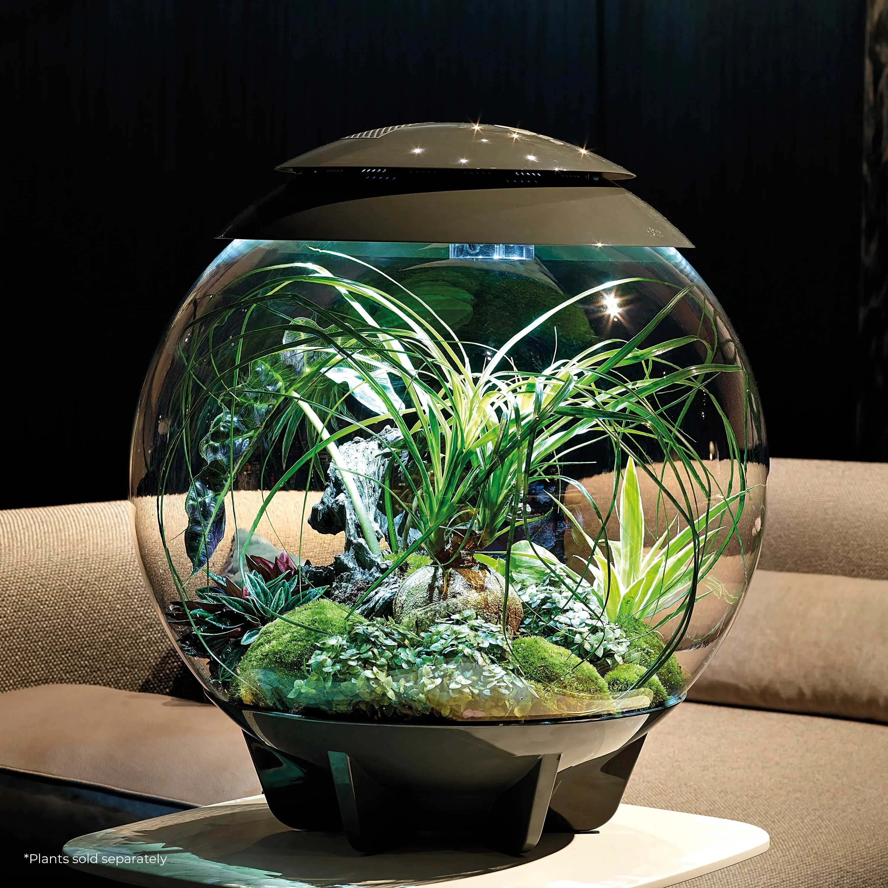 BiOrb AIR 60 Modern Glossy Terrarium for Tropical Plants and Creatures
