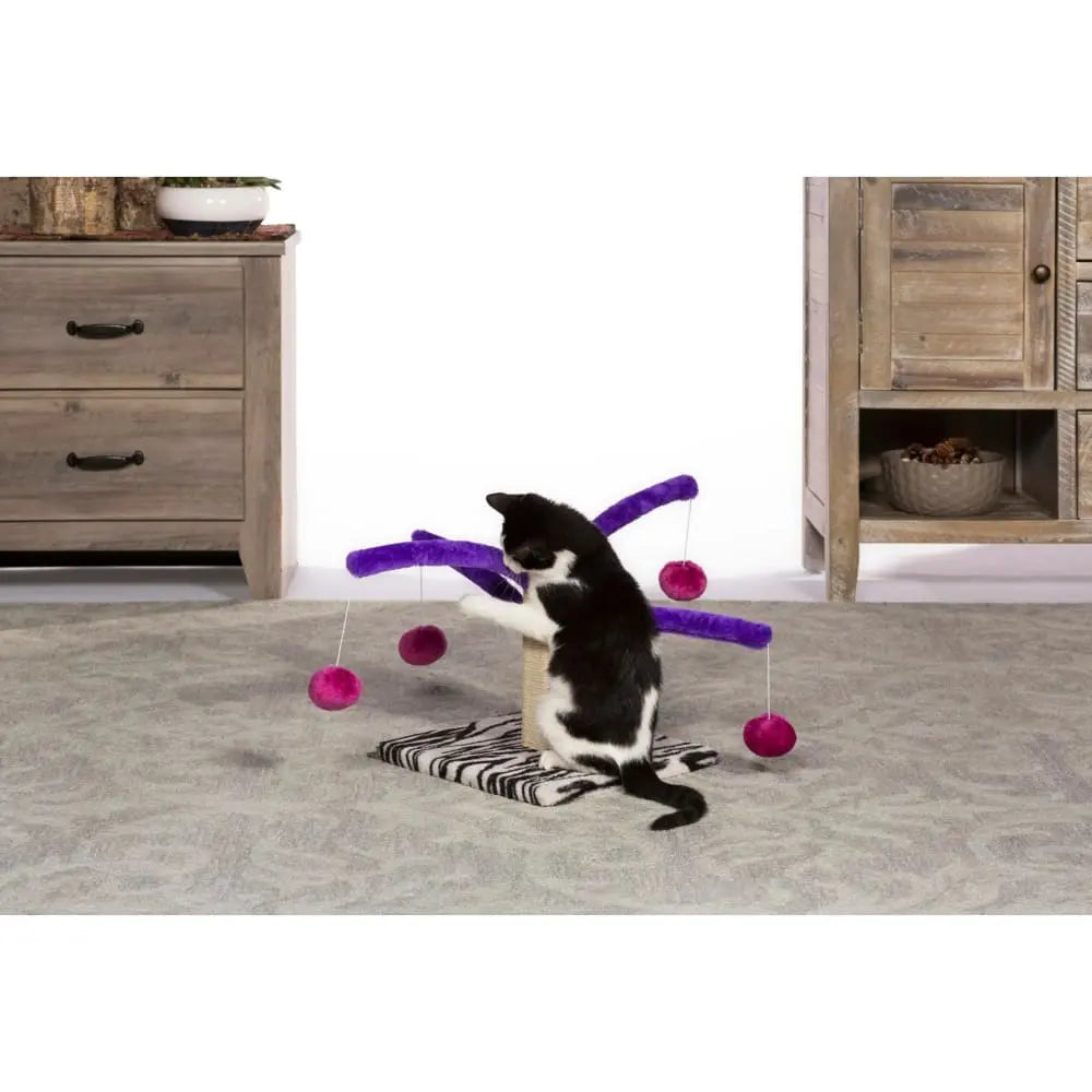 Prevue Pet Products Interactive Bounce and Spring Cat Scratcher Toy