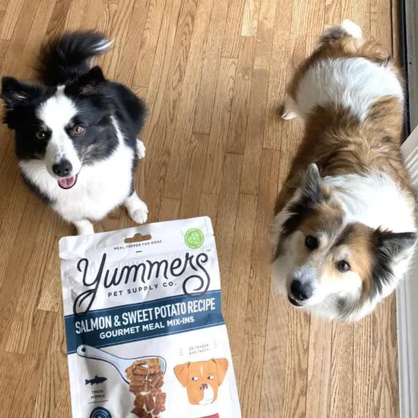 Yummers 5 oz. Gourmet Salmon & Sweet Potato Recipe Dog Food Topper