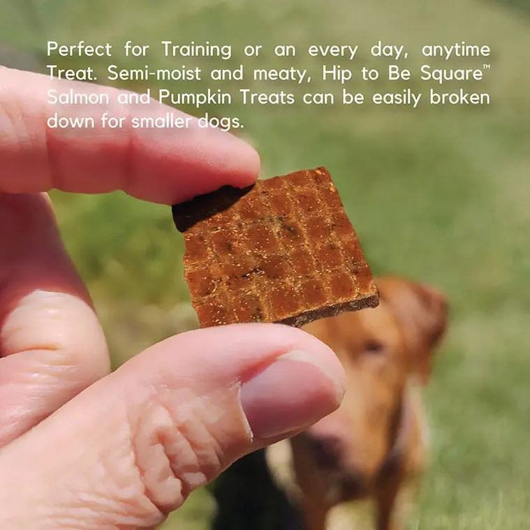 Lucy Pet Products High - Quality Limited Ingredient Salmon & Pumpkin Dog Treats
